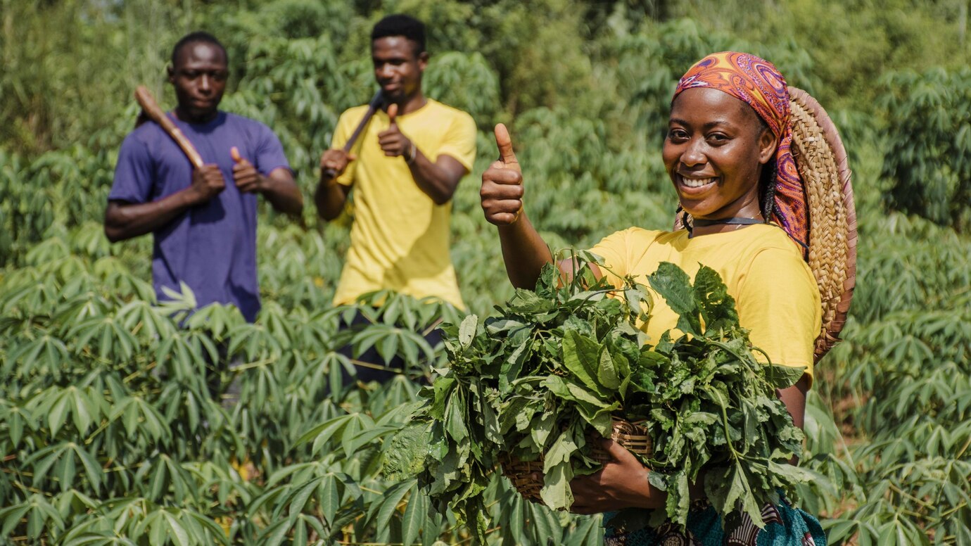Your Best Partner in Modern Farming