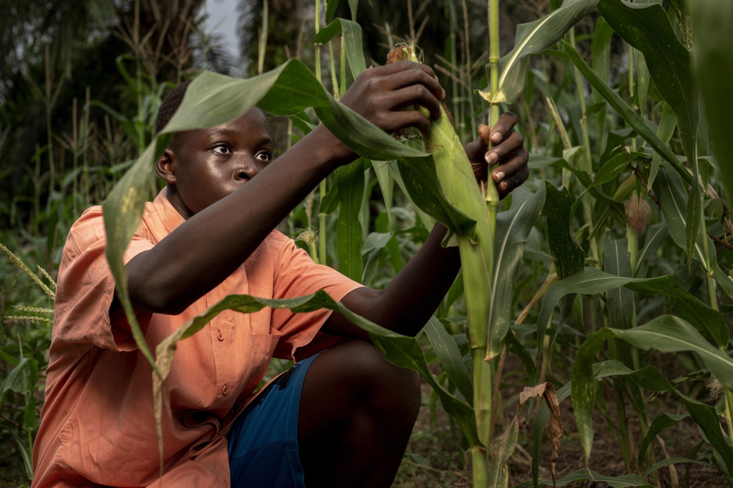 Empowering Farmers, Building Communities